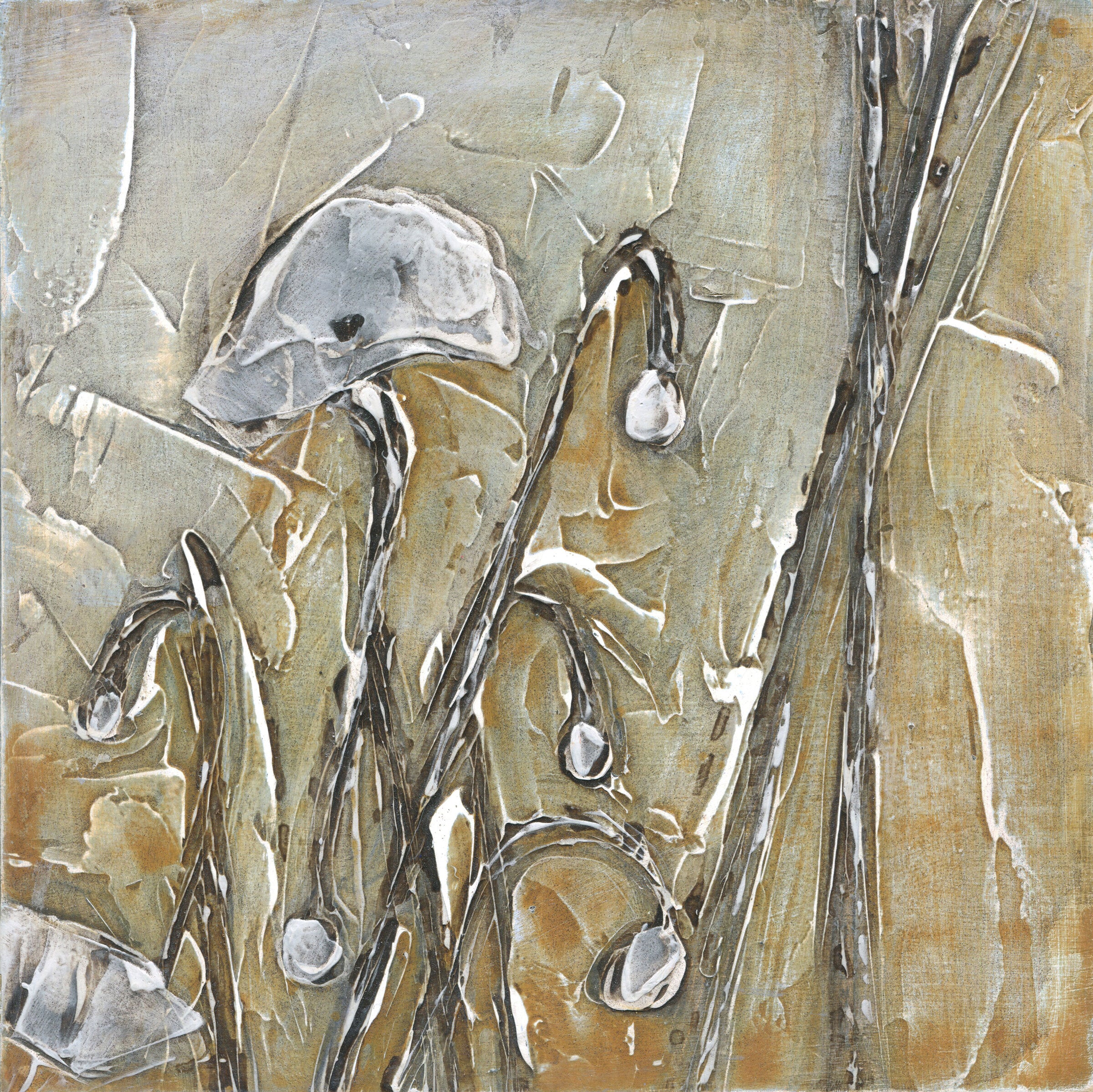 Moonlit Poppies I