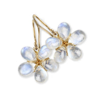 Rainbow Moonstone & 14k Gold Flower Earrings