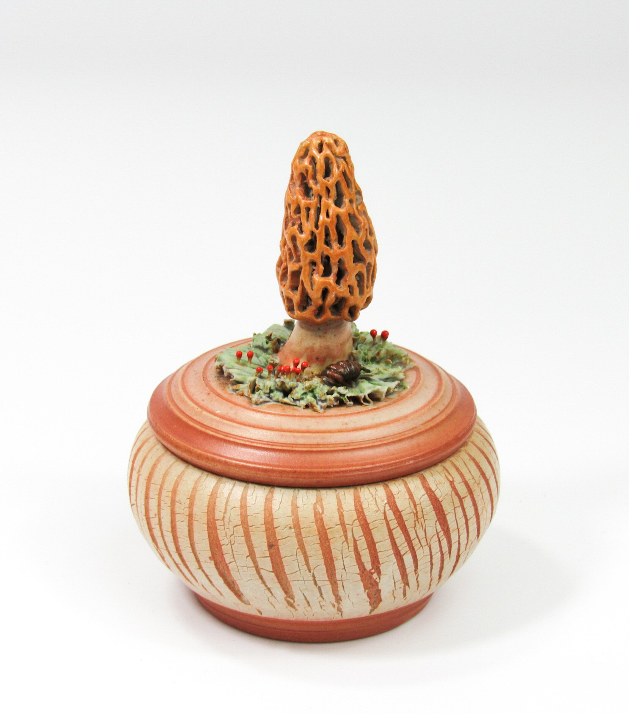 Morel Mushroom with Roly-Poly