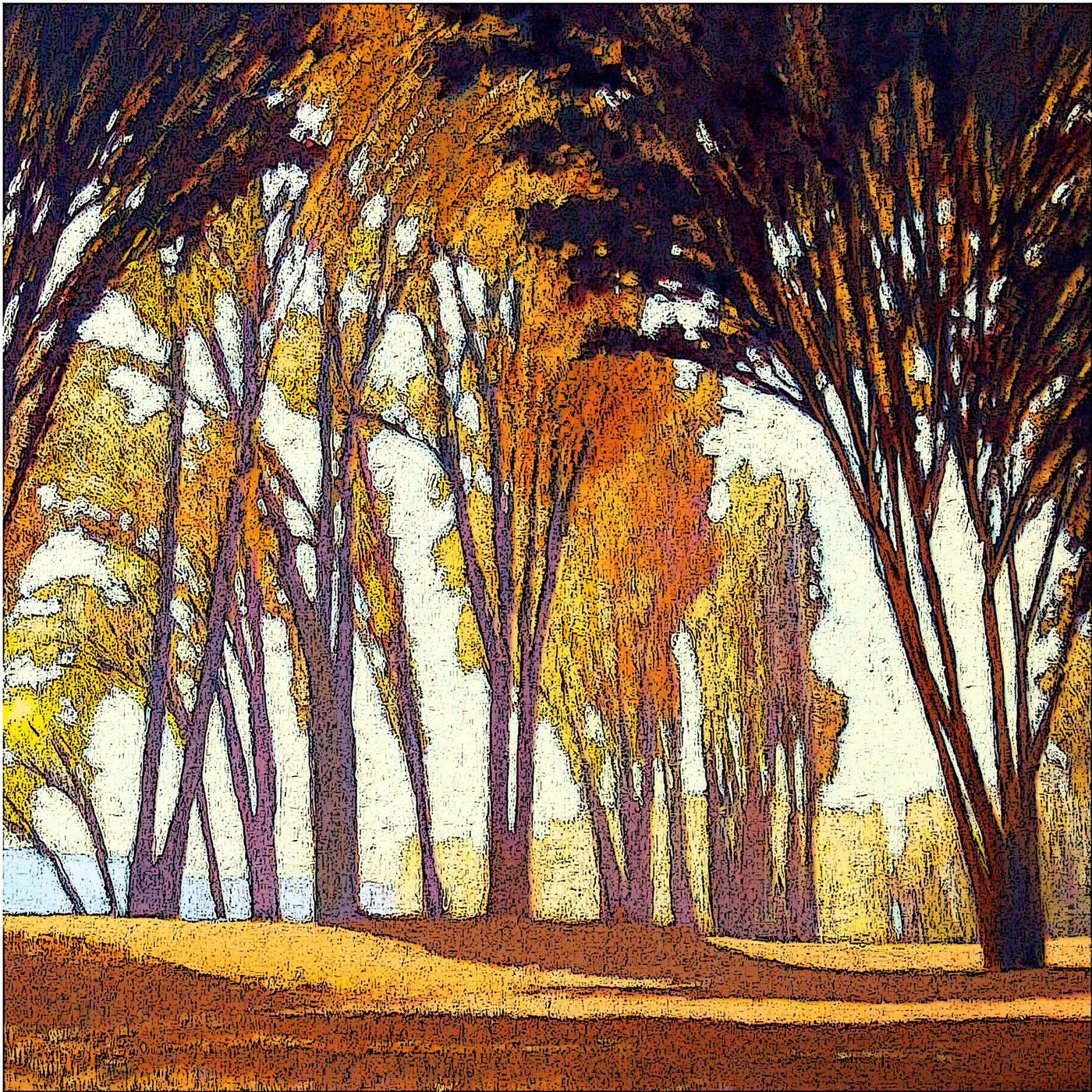 Autumn Woodland 1