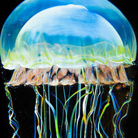 Moon Jellyfish Medium