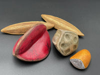 Seeds of Change, Grouping 8
