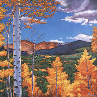 Aspen Awakening