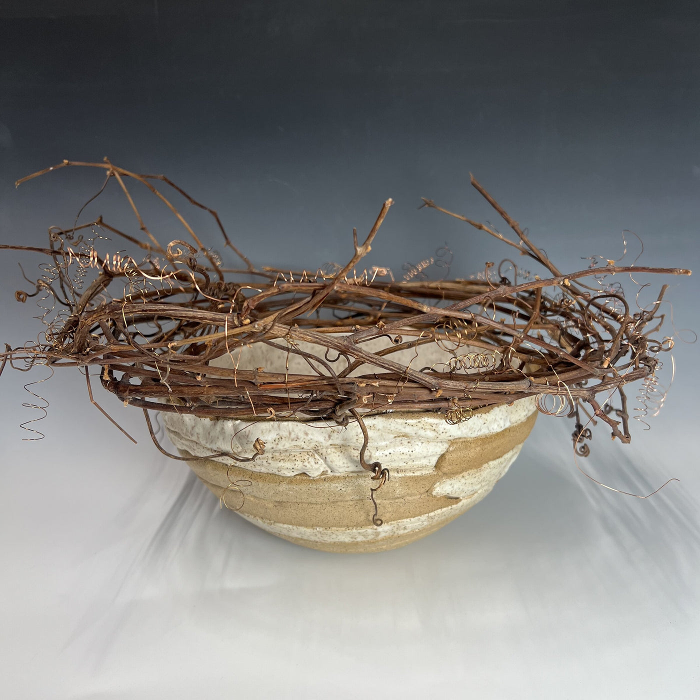 Tangled Nest
