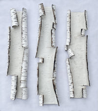 Scrolls, Interrupted