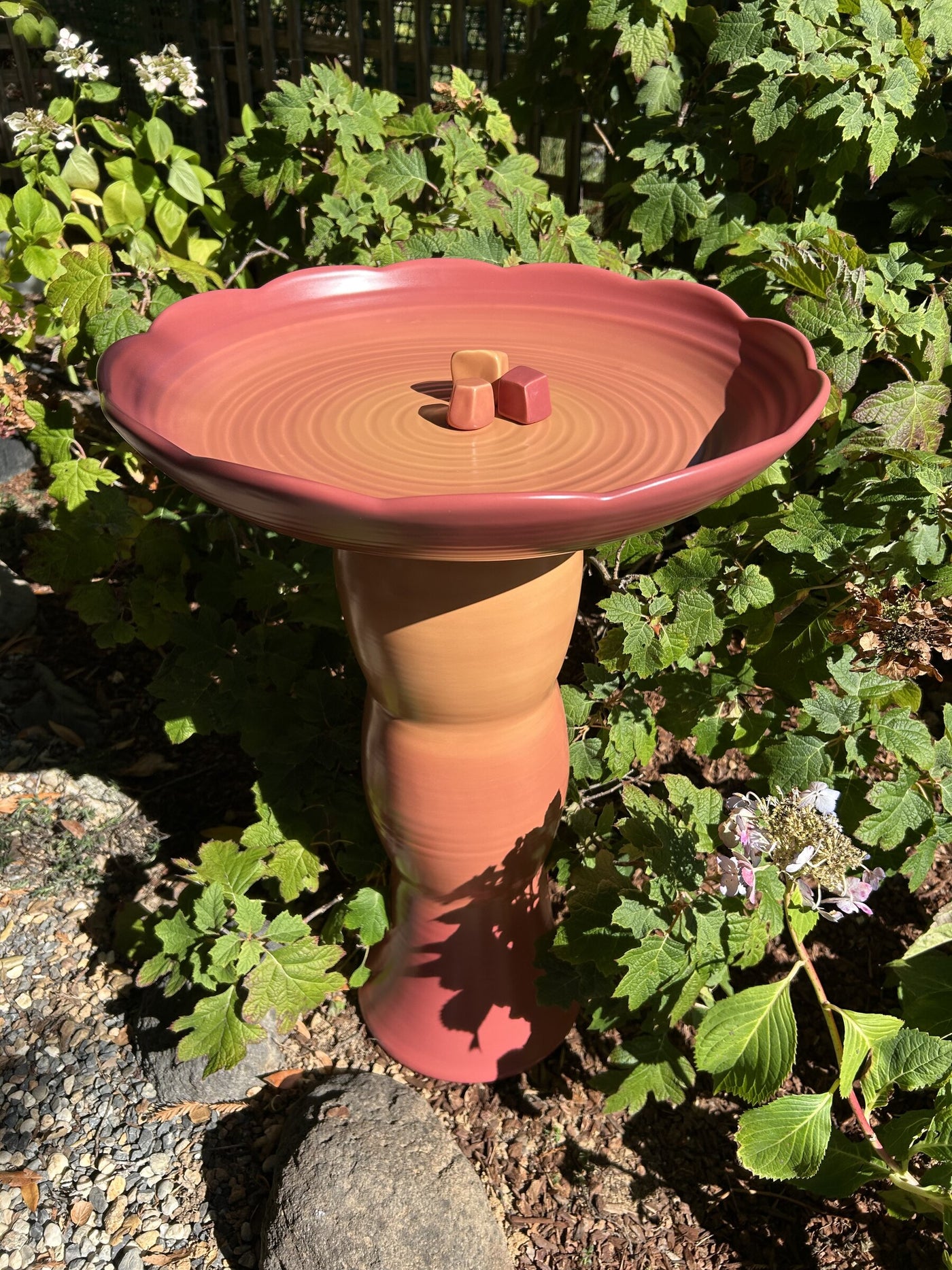Avian Spa in Cardinal