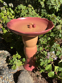 Avian Spa in Cardinal