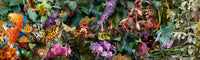 Wreathing a Flowery Band