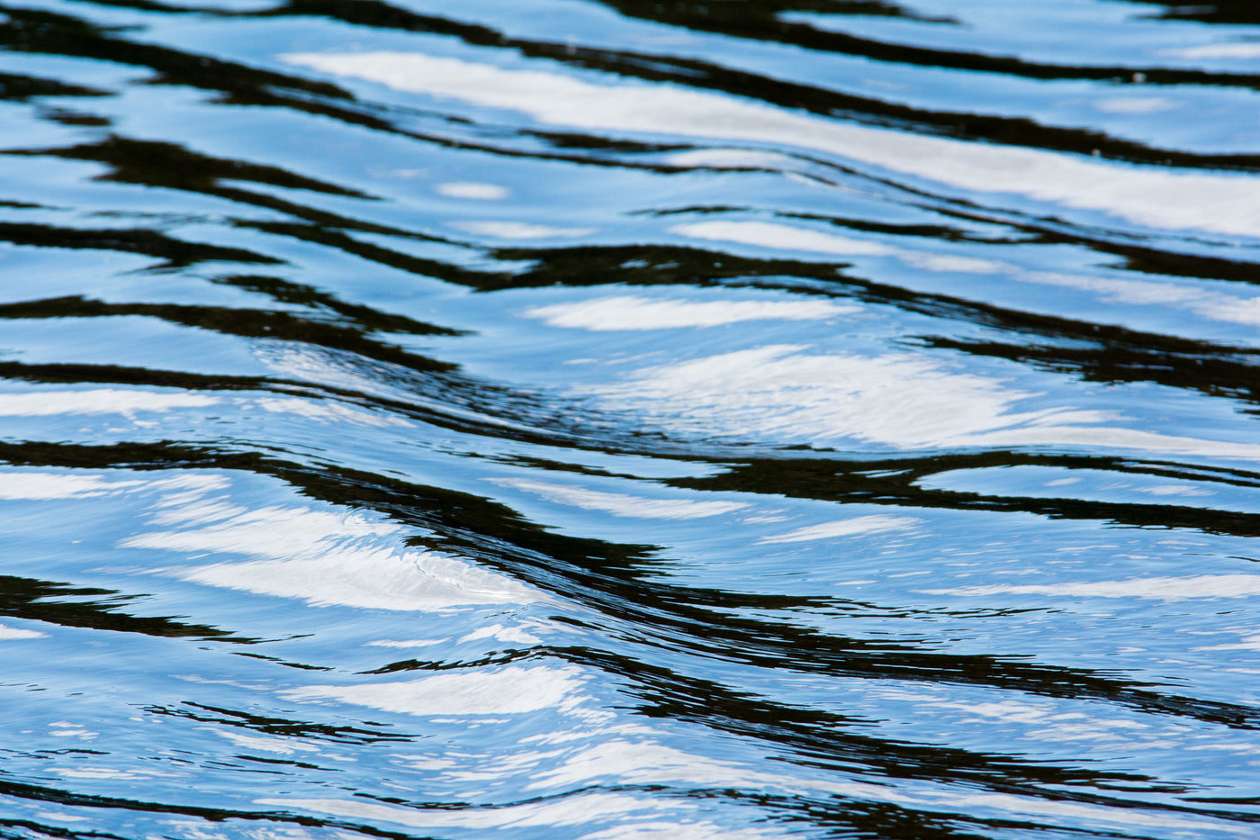 Rhythm in Blue