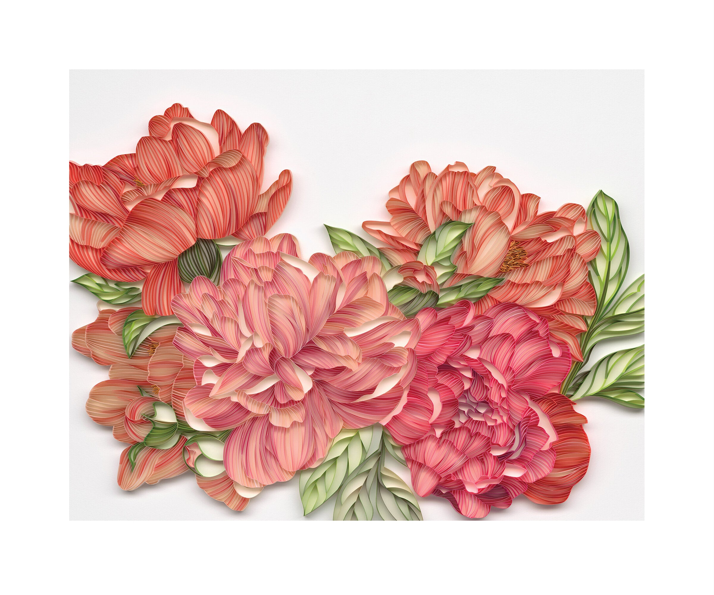 Peonies