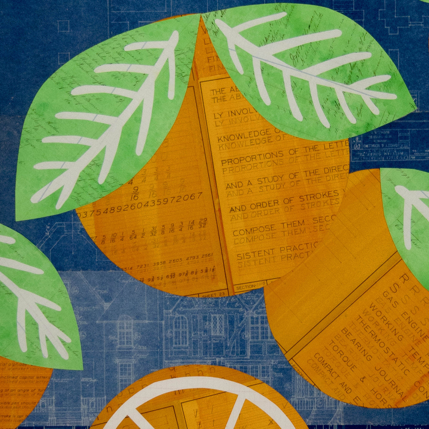 Oranges No. 6