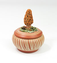 Morel Mushroom with Roly-Poly