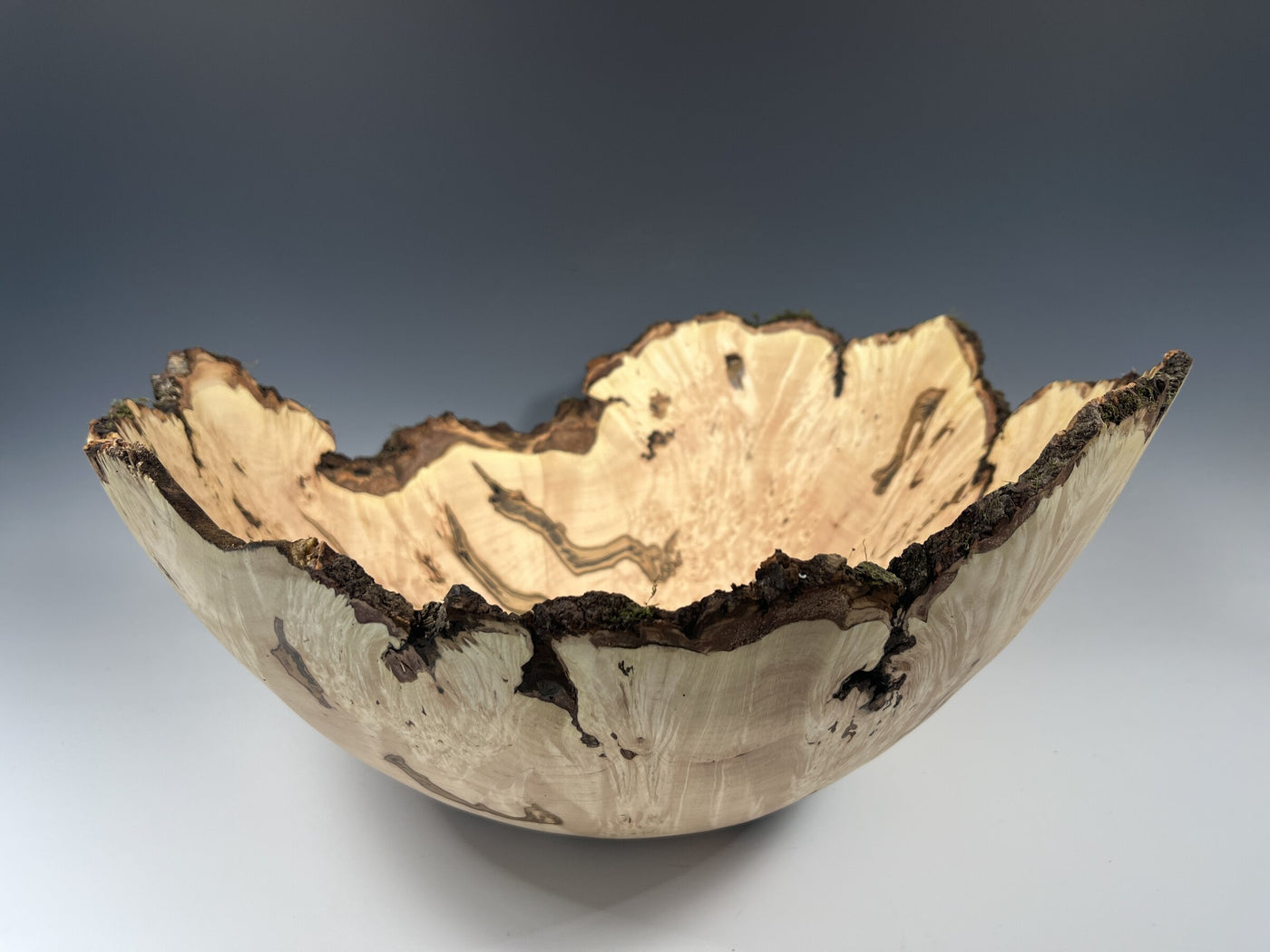 Natural Edge Maple Burl VI