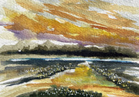 Sunset Meadow