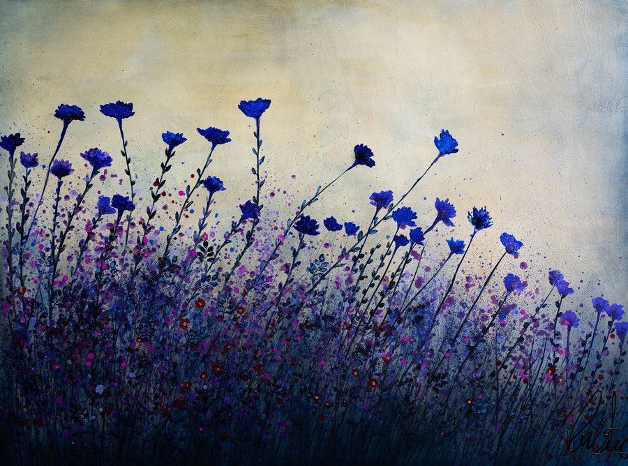 Purple Daisies II