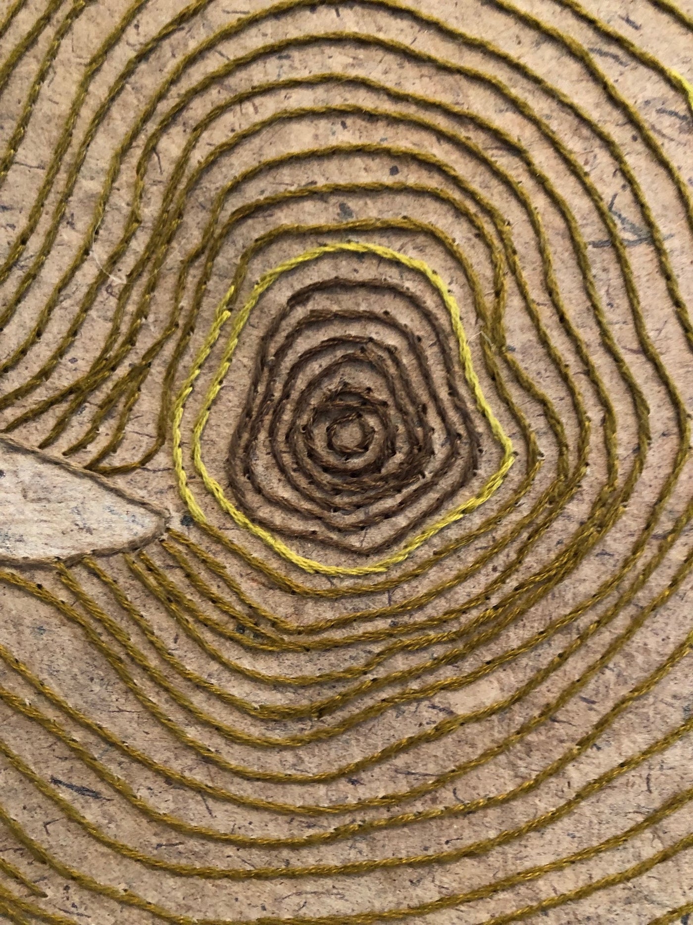 Tree Rings, Variable Edition 1/25