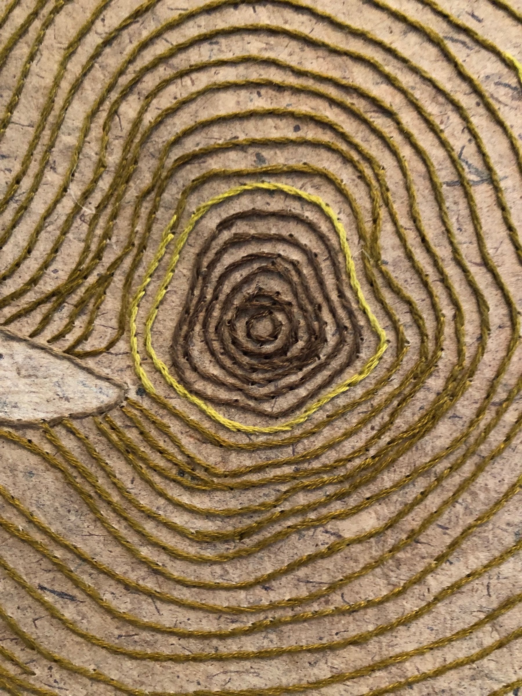 Tree Rings, Variable Edition 1/25