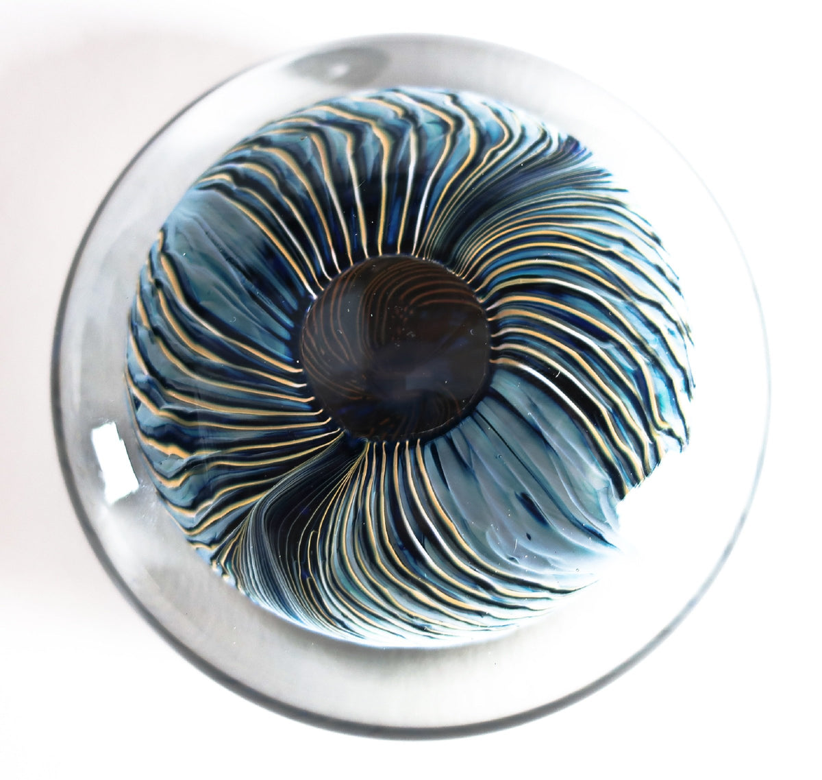 Flat Feathered Aquanacci Paperweight