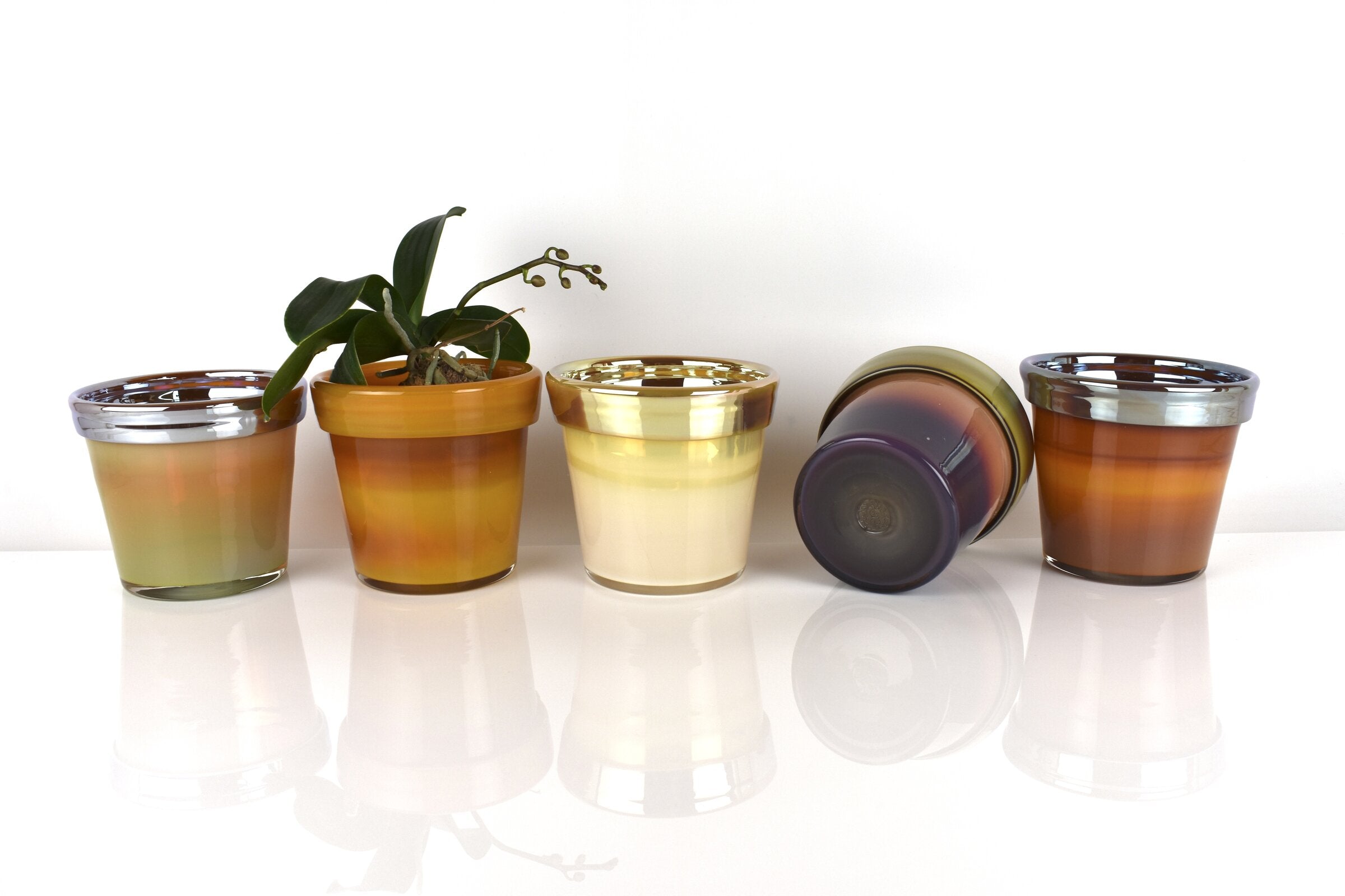 Glass Flower Pot, Ombre Tones