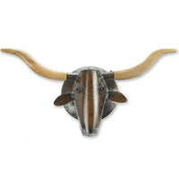 Longhorn Cow