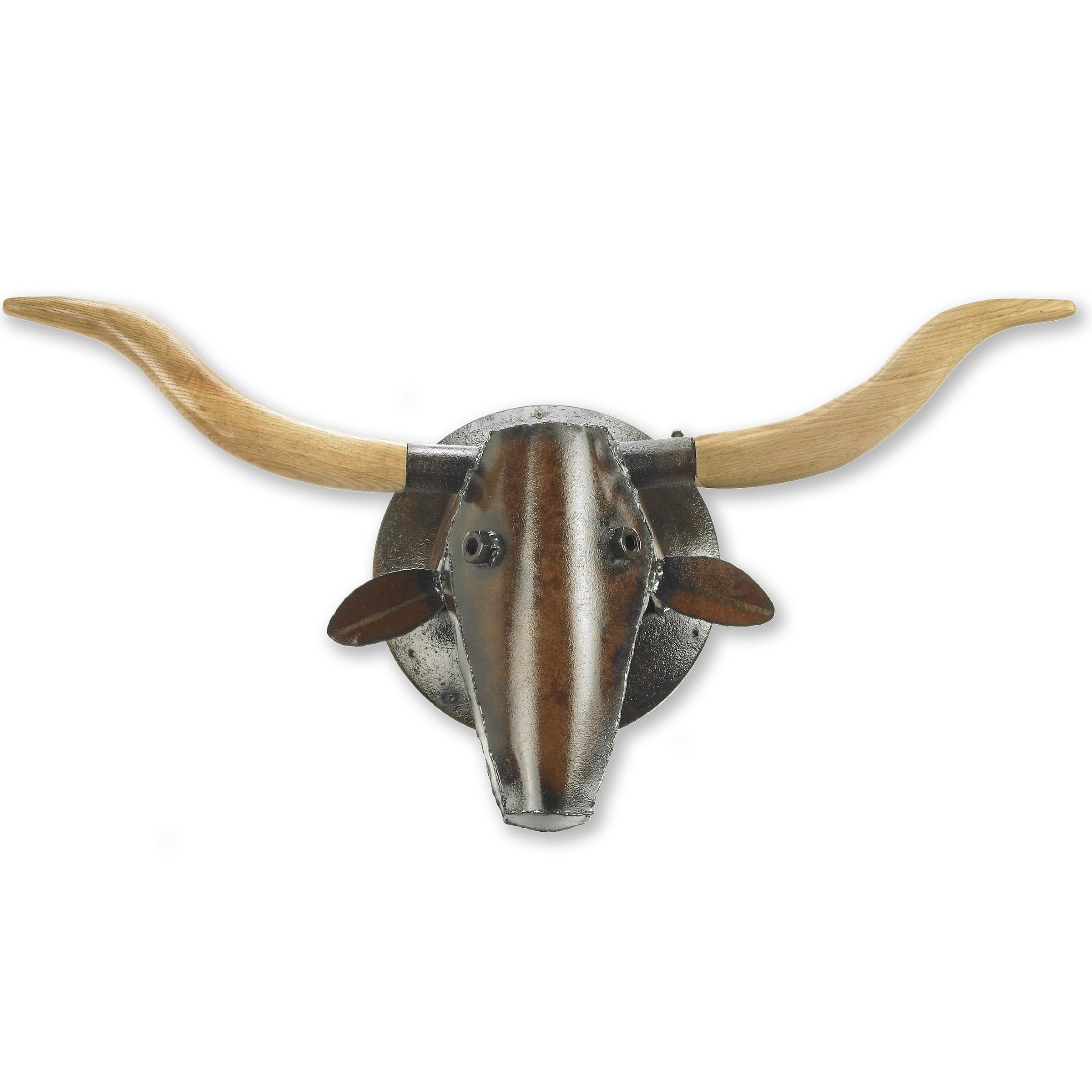Longhorn Cow