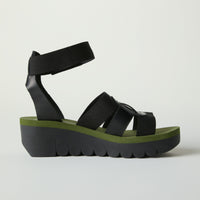 Black/Green