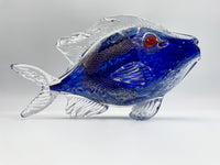 Copperfish