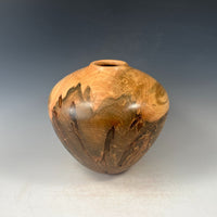 Ambrosia Maple Hollow Form Vessel VII