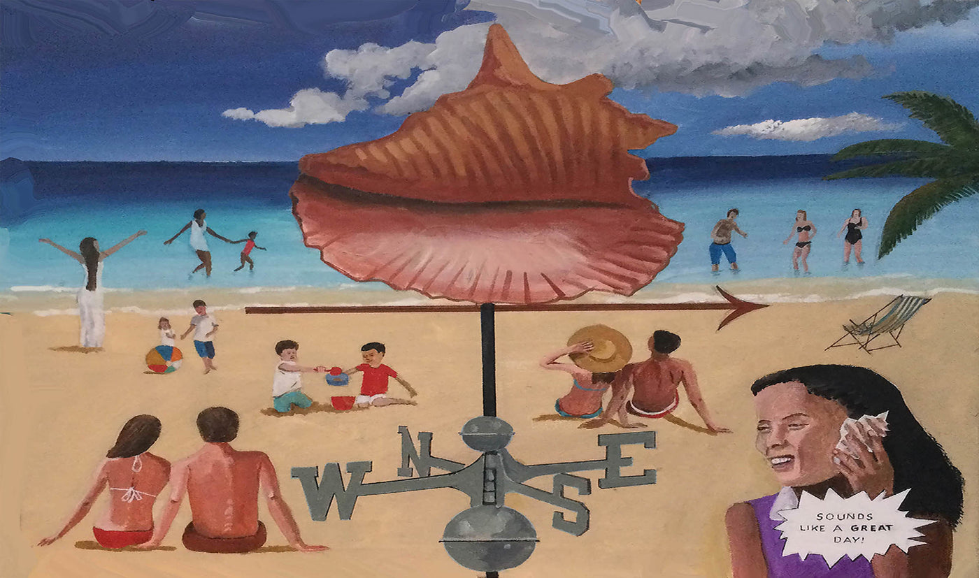 conch shell 3