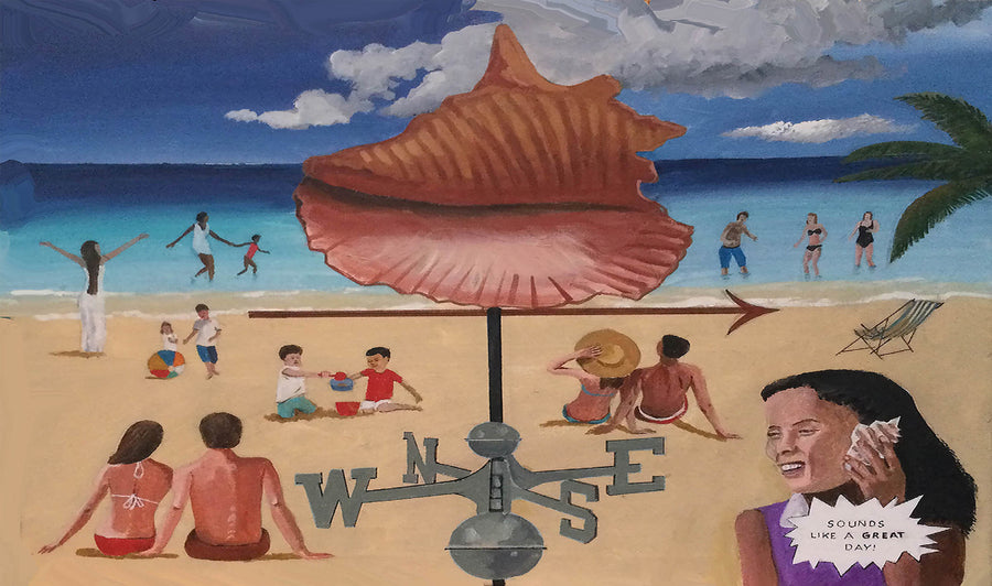 conch shell 3
