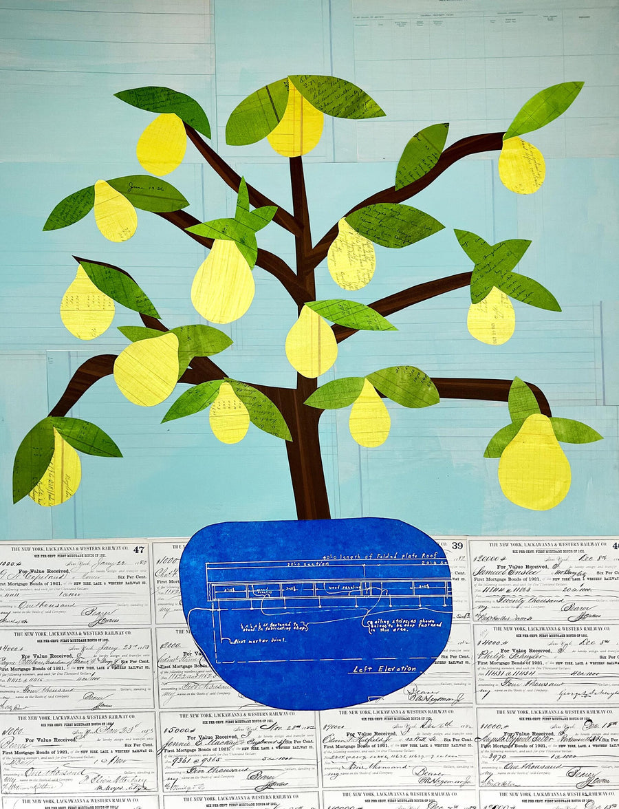 Pear Tree