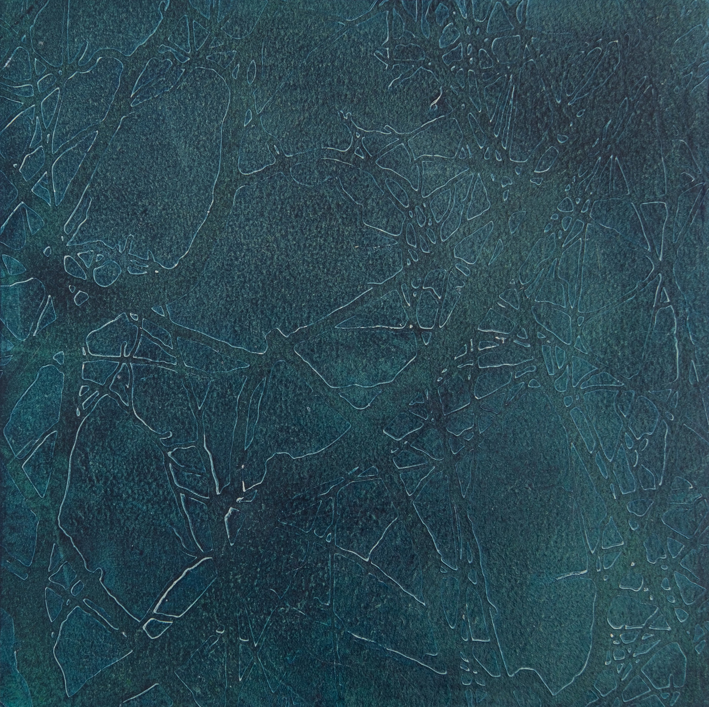 Lagoon 5