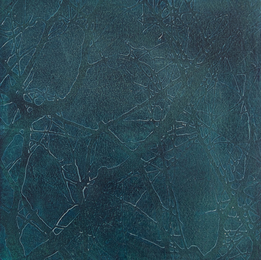 Lagoon 5