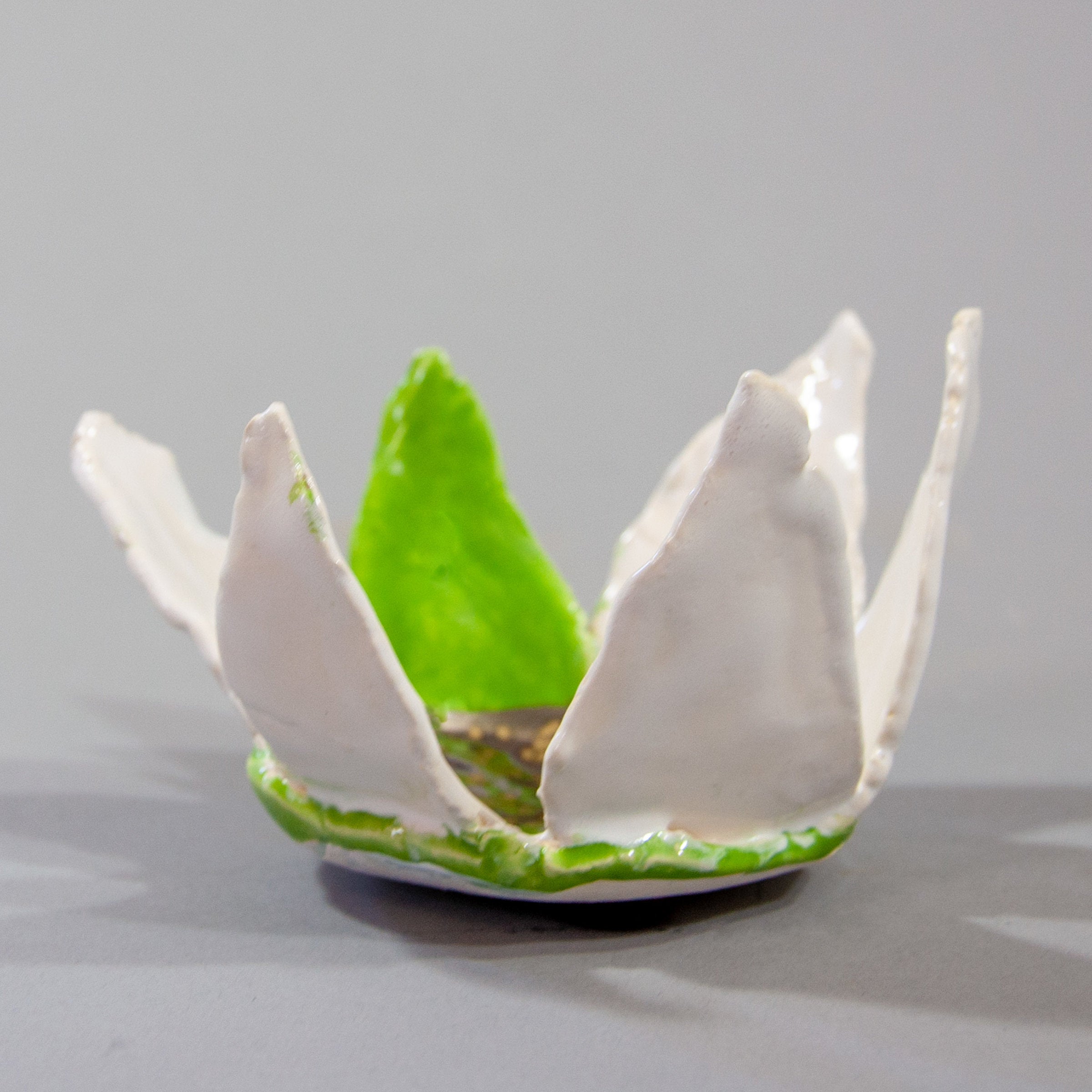 Ceramic White Crown Bowl with Green Leaf