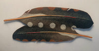 East and West Feathers