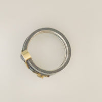 Whirl of Beauty Ring