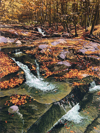 Autumn Cascade