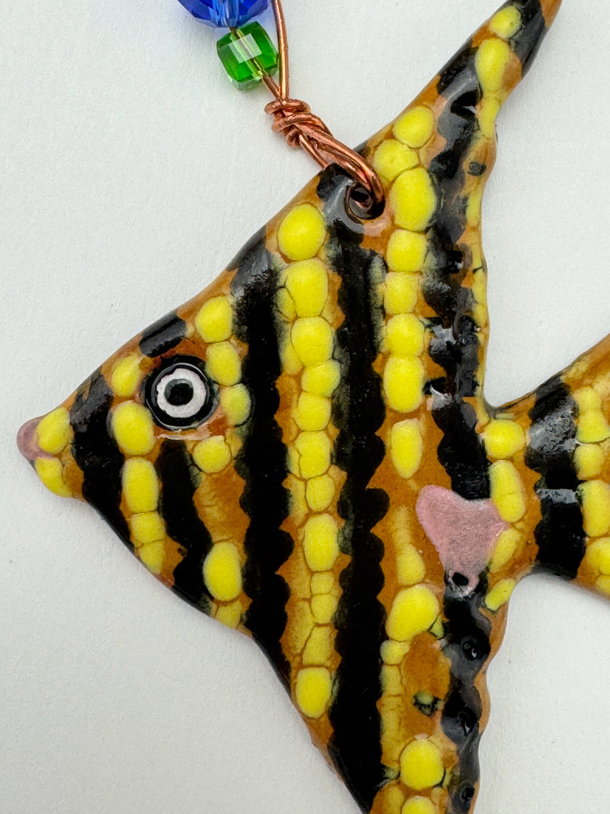 Daddy Angel Fish