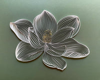 White Magnolia