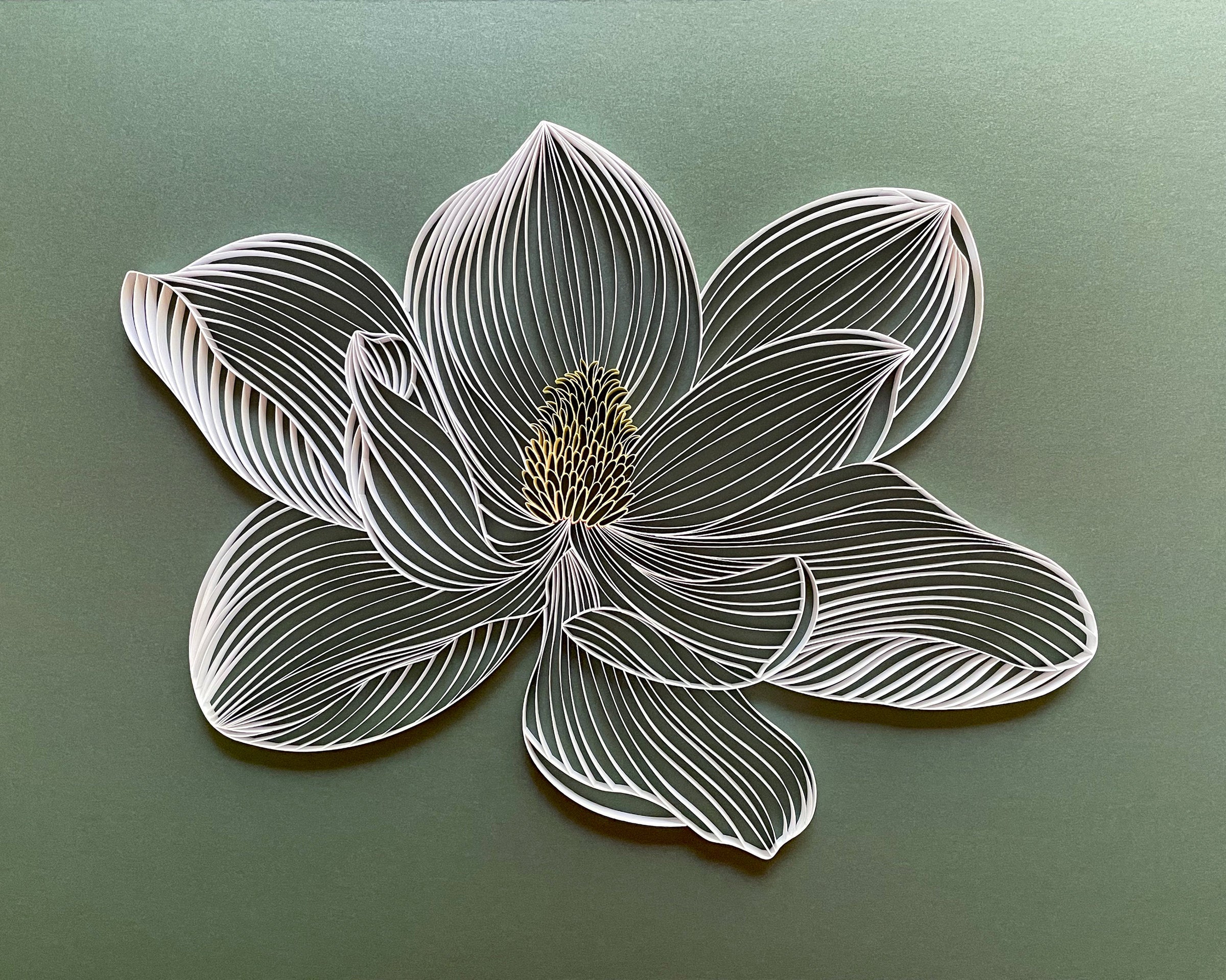White Magnolia