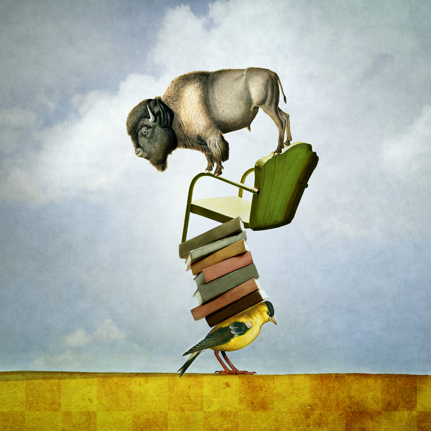 Balancing Bison