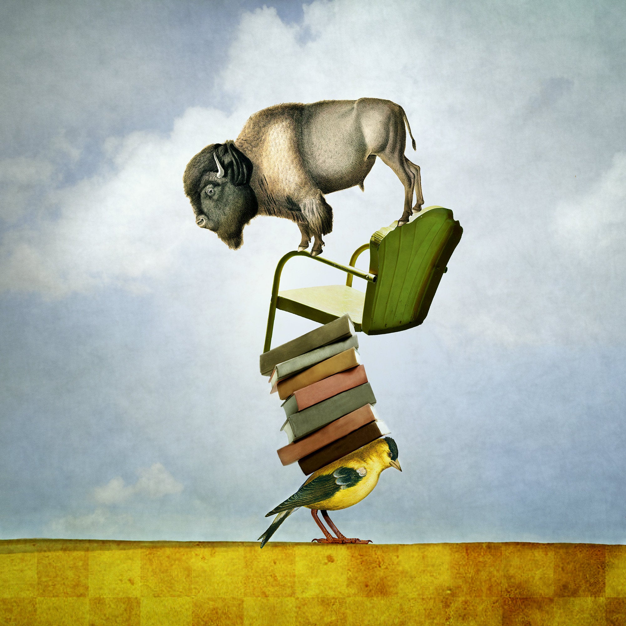 Balancing Bison