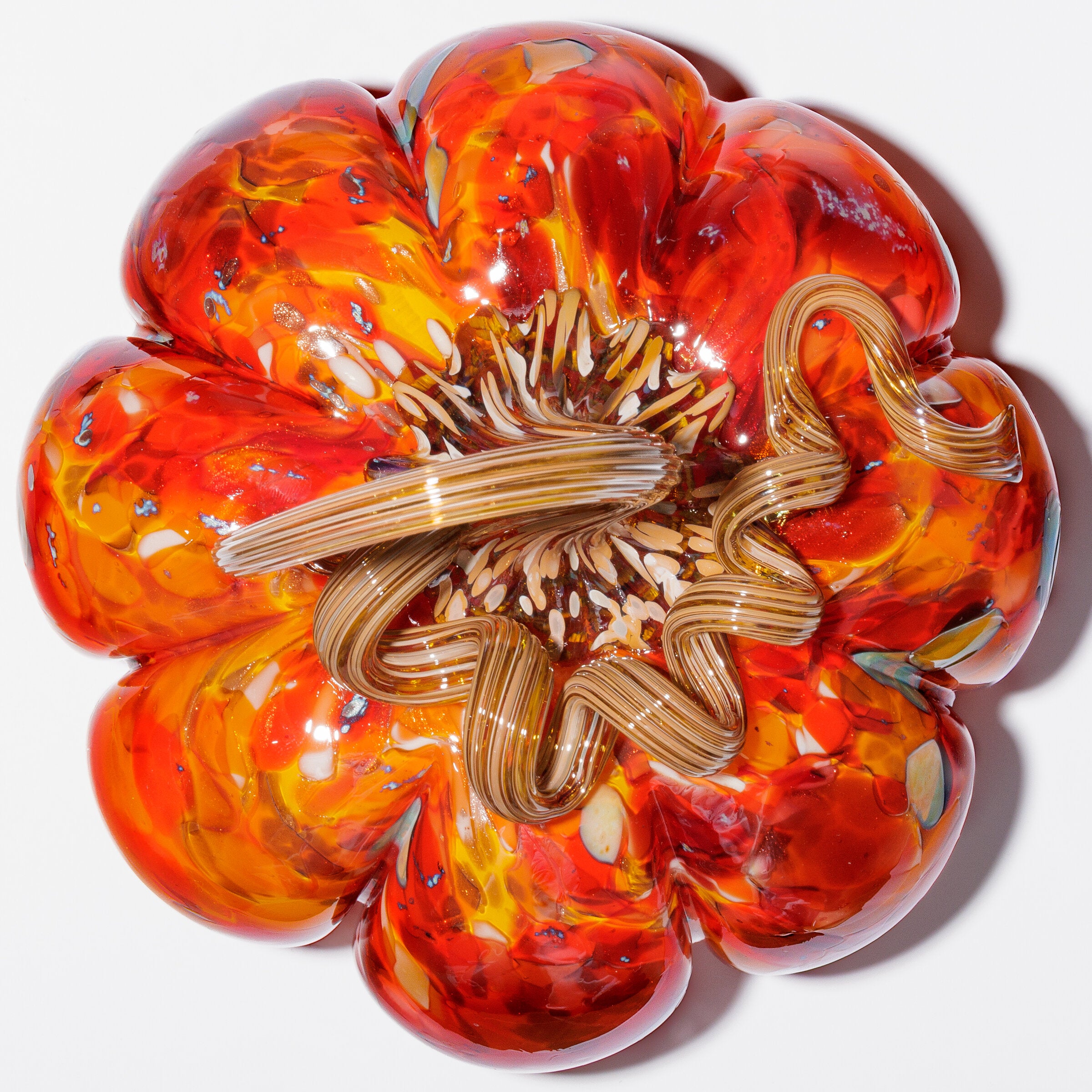 Sunburst, Glossy, Large
