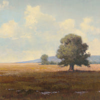 Meadows 1
