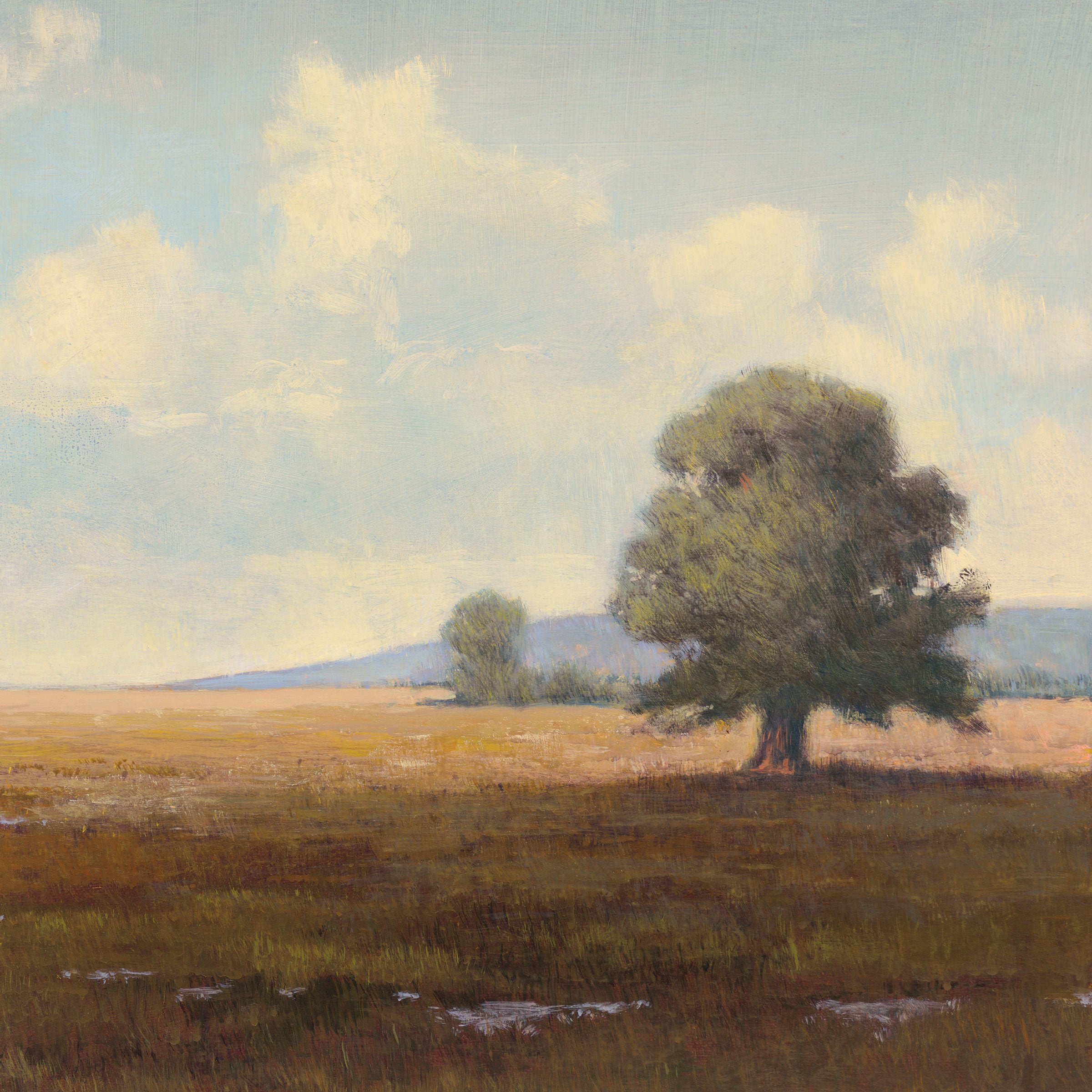 Meadows 1