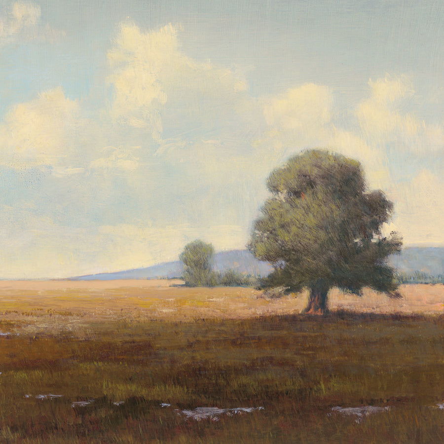 Meadows 1