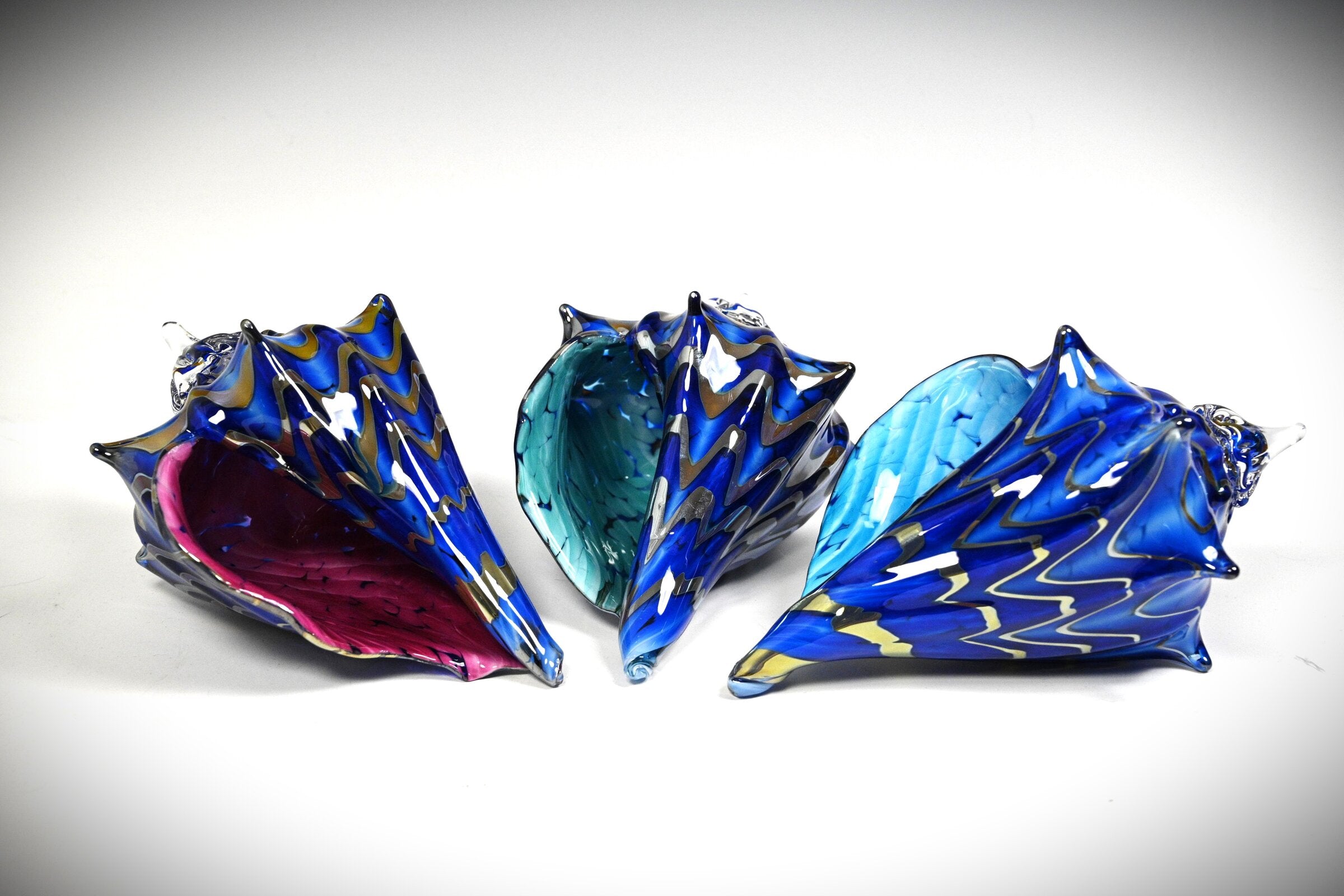 Two-Tone Blue Seashell