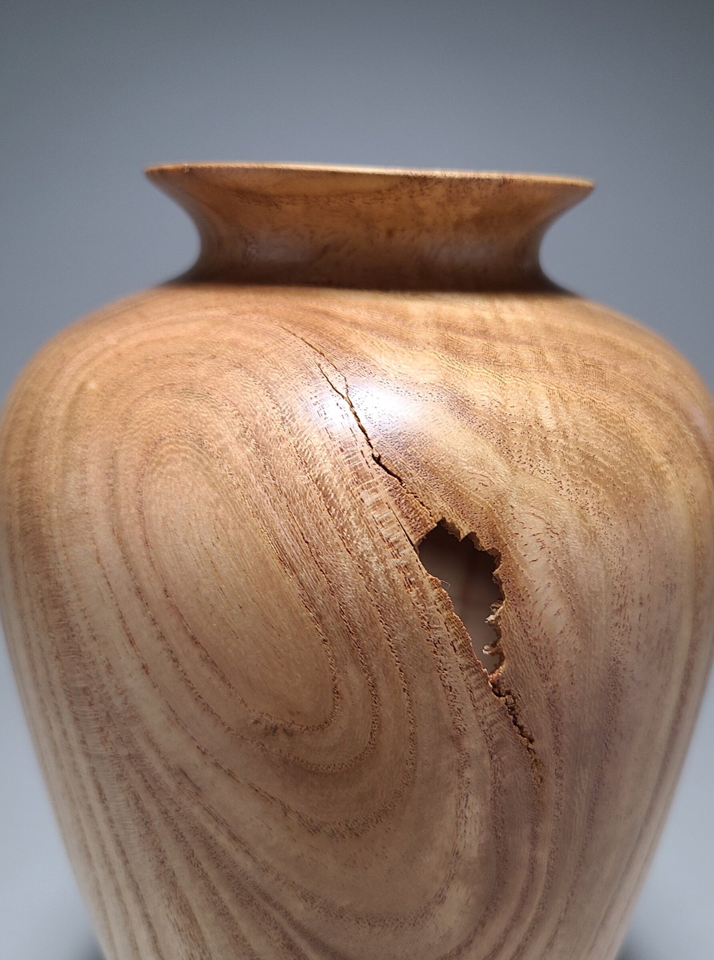 Timeless Forms