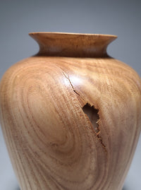 Timeless Forms