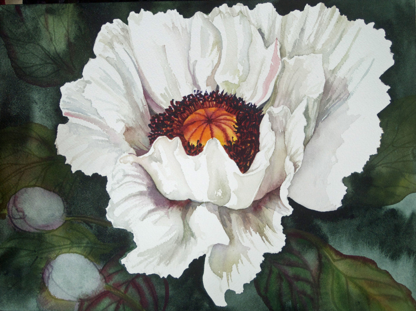 The Last White Poppy